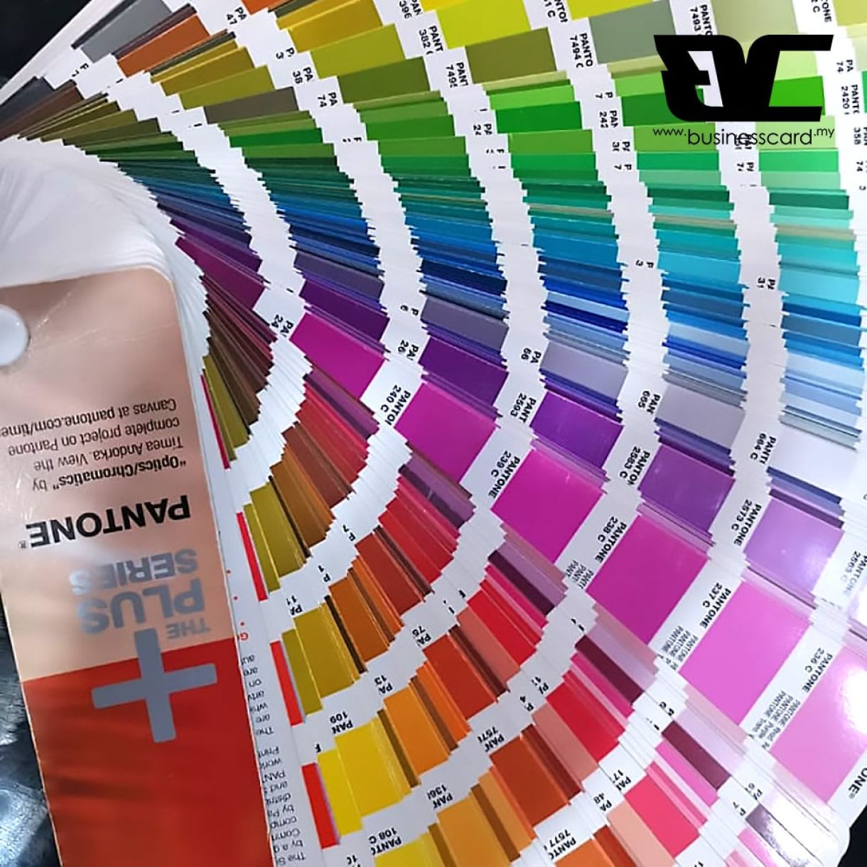 Unlocking the Power of Color: Pantone Coated 1