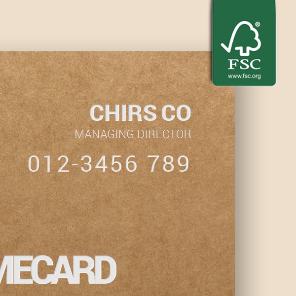 ECO Business Cards eco 1