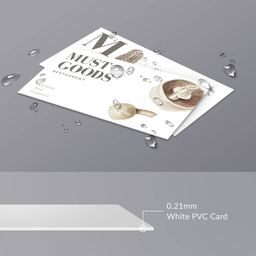 Plastic Business Cards white plastic bc 0 21mm